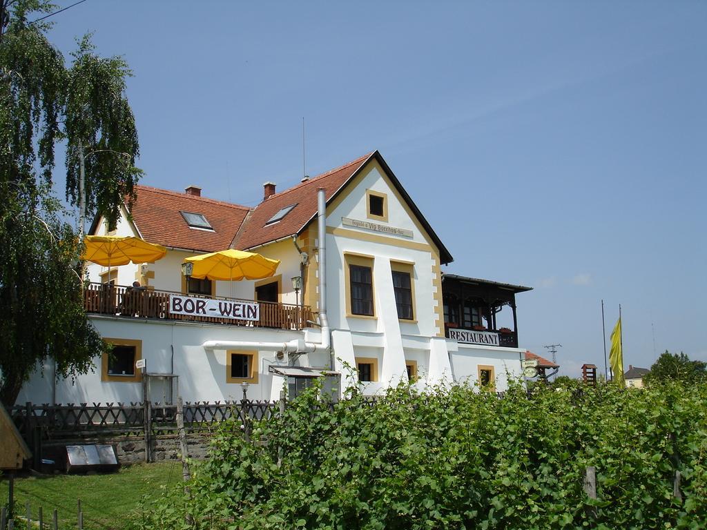 Bacchus Apartman - Borbarlang, Badacsony Bytom Extérieur photo