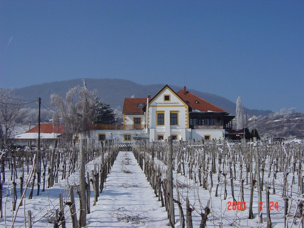 Bacchus Apartman - Borbarlang, Badacsony Bytom Extérieur photo