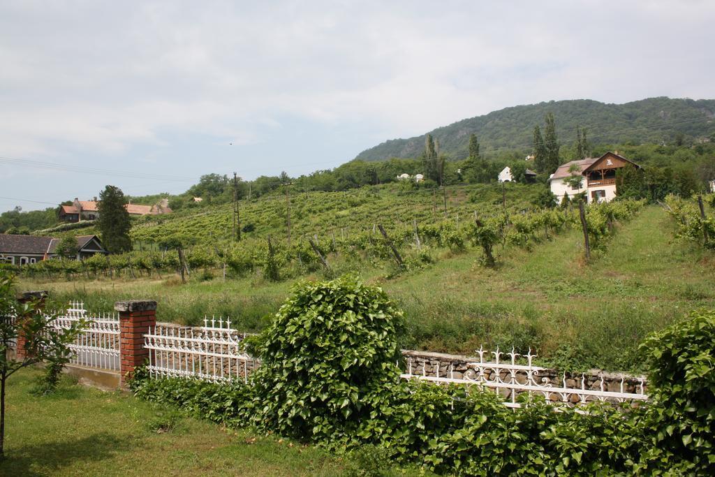 Bacchus Apartman - Borbarlang, Badacsony Bytom Extérieur photo
