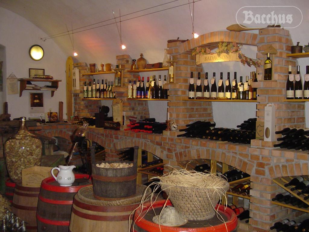 Bacchus Apartman - Borbarlang, Badacsony Bytom Extérieur photo