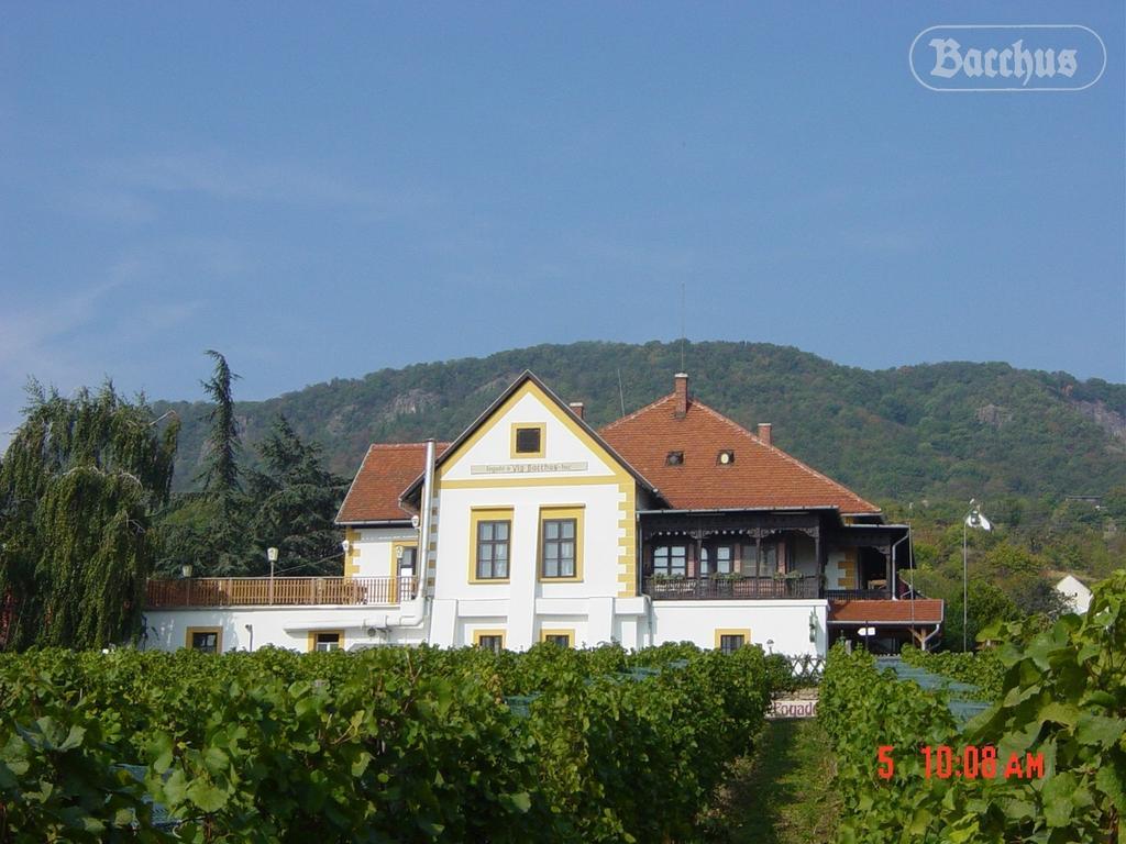 Bacchus Apartman - Borbarlang, Badacsony Bytom Extérieur photo